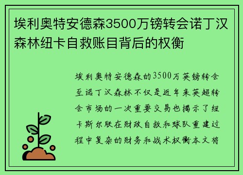 埃利奥特安德森3500万镑转会诺丁汉森林纽卡自救账目背后的权衡